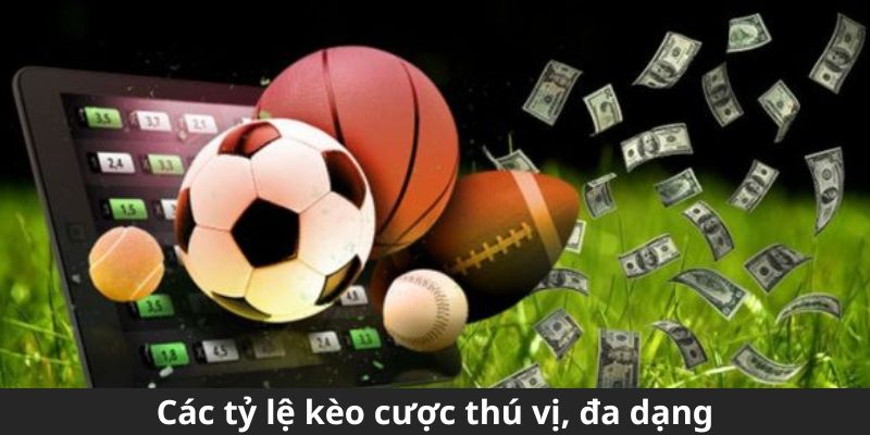 Các tỷ lệ kèo cược thú vị, đa dạng